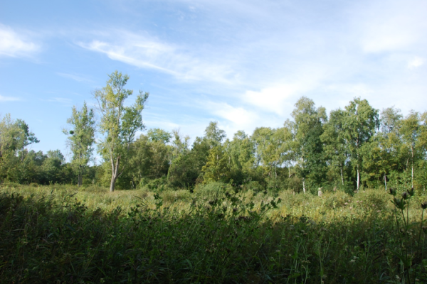 marais du rabuais marais du rabuais